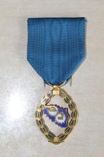 Belgische medaille, Overige soorten, Ophalen of Verzenden, Lintje, Medaille of Wings