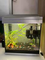 super fish aquarium compleet, Dieren en Toebehoren, Vissen | Aquaria en Toebehoren, Ophalen, Gebruikt