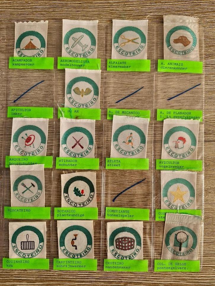 scouts brazilie vaardigheidsinsignes groot lot, Verzamelen, Scouting, Zo goed als nieuw, Embleem, Speld of Insigne, Ophalen of Verzenden