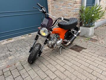 Dax125cc, Enlèvement, 1 cylindre, Jusqu'à 11 kW