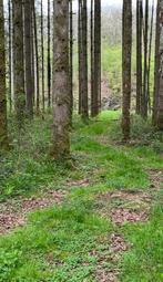 Terrain au bord de la semois a louer pour de courtes periode