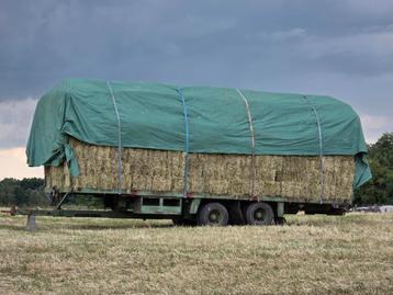 Hooi recht van het veld beschikbaar voor biedingen