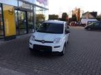 Fiat Panda Hybrid, Auto's, 4 zetels, Euro 6, Panda, Wit