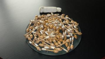 110 Vintage klossen voor kantklossen beschikbaar voor biedingen