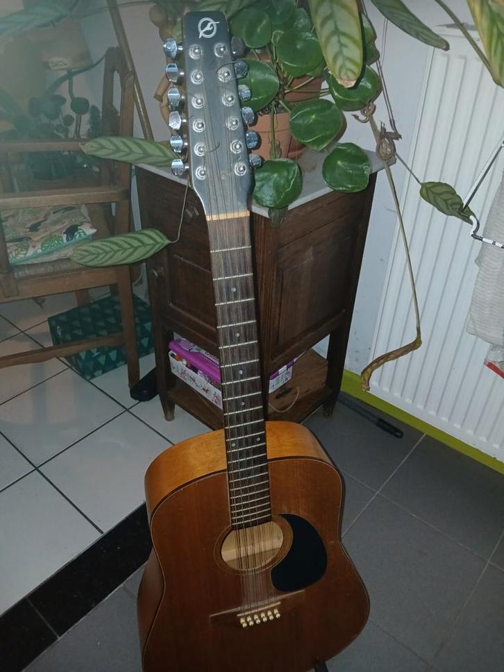 Gratis 12 snaren gitaar gereserveerd, Muziek en Instrumenten, Snaarinstrumenten | Gitaren | Akoestisch, Ophalen