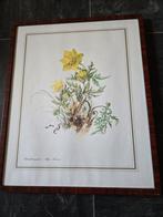 Mooi bloemen kader, Antiek en Kunst, Ophalen
