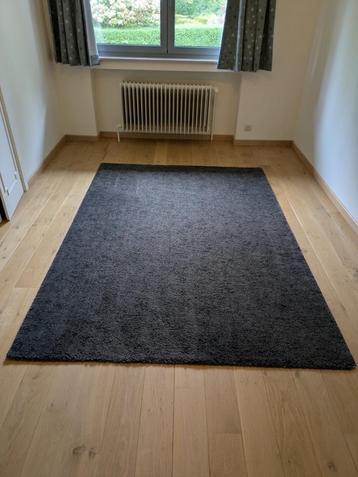 Black Area Rug (170 x 240 cm) beschikbaar voor biedingen