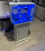 Aquarium met kast, Ophalen