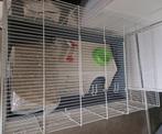Grande cage pour lapin ou cobaye + accessoires, Ophalen, Kooi, Cavia