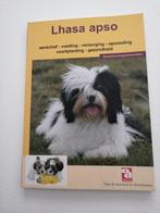 lhasa apso, Ophalen of Verzenden, Zo goed als nieuw, Honden