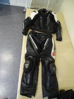 Motorpak Dainese Maat 52, Dainese, Heren, Tweedehands