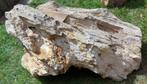 fossiel hout, Verzamelen, Mineralen en Fossielen, Ophalen, Fossiel