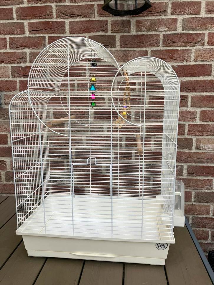 GROTE WITTE VOGELKOOI ELIZA MET SPEELTJES  50 EURO, Dieren en Toebehoren, Vogels | Hokken en Kooien, Zo goed als nieuw, Vogelkooi