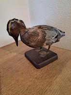 Decoratie met vogeleend, Ophalen, Gebruikt