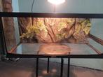 Terrarium, Dieren en Toebehoren, Ophalen, Zo goed als nieuw