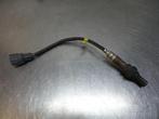 Lambda Sonde van een Toyota Starlet (Starlet 95-), Gebruikt, -, -, Ophalen of Verzenden