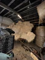 Heel veel kleine biohooibalen €4/stuk (perfect voor paarden), Dieren en Toebehoren, Schapen, Geiten en Varkens