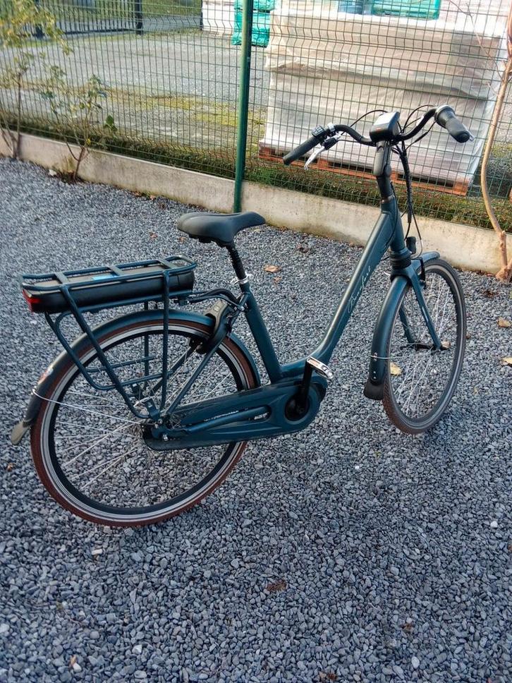 Elektrische fietsen, Fietsen en Brommers, Elektrische fietsen, Ophalen