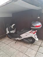 Motorscooters, Motoren, Scooter, Particulier, 600 cc, 12 t/m 35 kW