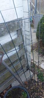 Tuinplant klimhek, Tuin en Terras, Ophalen, Gebruikt