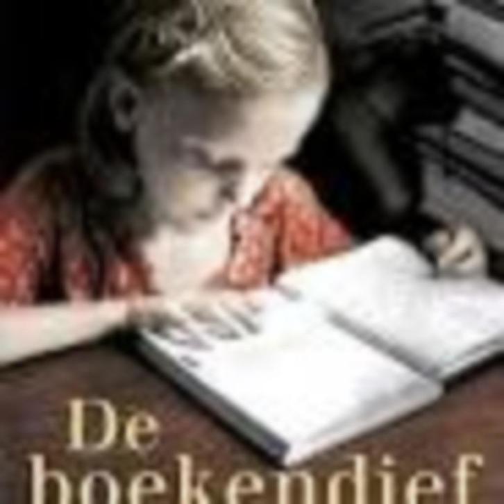 De boekendief Markus Zuzak 565 blz, Boeken, Romans, Zo goed als nieuw, Ophalen of Verzenden