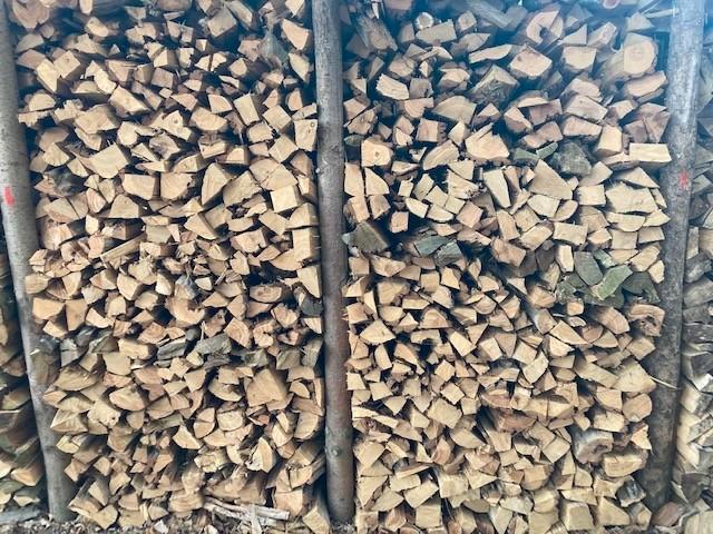 brandhout 100€ per stère gestapeld Droog, Tuin en Terras, Brandhout, Blokken, Beukenhout, 6 m³ of meer, Ophalen