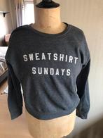 Mooi verzorgd sweatshirt grijs, Kleding | Heren, Truien en Vesten, Ophalen of Verzenden, Zo goed als nieuw, Grijs