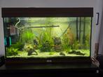 Aquarium jewel 80 cm met accessoires. Perfecte staat., Dieren en Toebehoren, Ophalen, Zo goed als nieuw