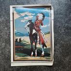 Borduurpatroon indiaan op paard, Ophalen of Verzenden, Gebruikt, Handborduren, Patroon