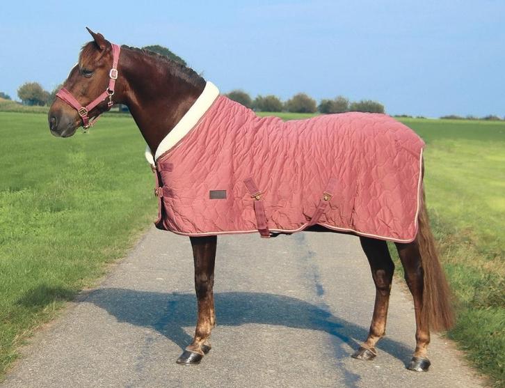 Profi-Rider Showdeken 250g Velvet Pink Roze 185+195+205 SALE, Dieren en Toebehoren, Paarden en Pony's | Dekens en Dekjes, Nieuw