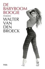Te Koop Boek DE BABYBOOM BOOGIE Walter Van Den Broeck, Boeken, België, Ophalen of Verzenden, Zo goed als nieuw, Walter Van Den Broeck