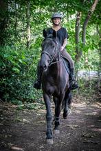 Stoer paard, Enlèvement, Récréation