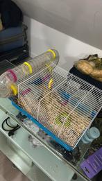 Hamster met kooi, Dieren en Toebehoren, Ophalen, Kooi, Hamster