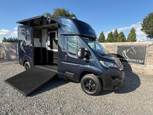 HORSEBOX STX/AKX | 2023 | STALLION | 7.713KM | NIEUWSTAAT, Dieren en Toebehoren, Paarden en Pony's | Trailers en Aanhangwagens