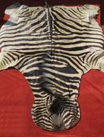 Prachtige zebrahuid zebravel zebratapijt zebra, Antiquités & Art, Curiosités & Brocante, Enlèvement