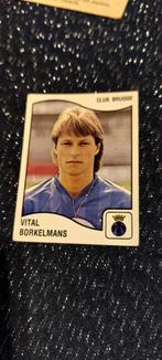 Panini/Sticker/Vital Borkelmans/Club Brugge/ 1990, Ophalen of Verzenden, Zo goed als nieuw, Poster, Plaatje of Sticker