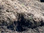 Paarden mest Gratis, Tuin en Terras, Aarde en Mest, Ophalen, Mest