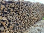 Bois bon à brûler, Jardin & Terrasse, Bois de chauffage, Enlèvement, Hêtre