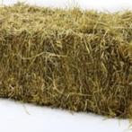 Tarwestro kleine balen, Zakelijke goederen, Landbouw | Veevoer, Ophalen
