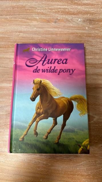 Christine Linneweever - Aurea de wilde pony