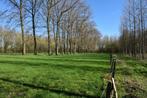 Weide voor paarden en of kleinvee
