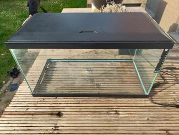 60 liter Aquarium 60x30x35 cm beschikbaar voor biedingen