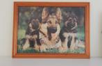 Tableau Grand Puzzle encadré et sous protection 50€, Ophalen, Legpuzzel