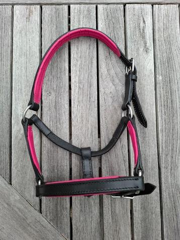 NIEUW: Leren halster minipaardje of klein veulentje beschikbaar voor biedingen