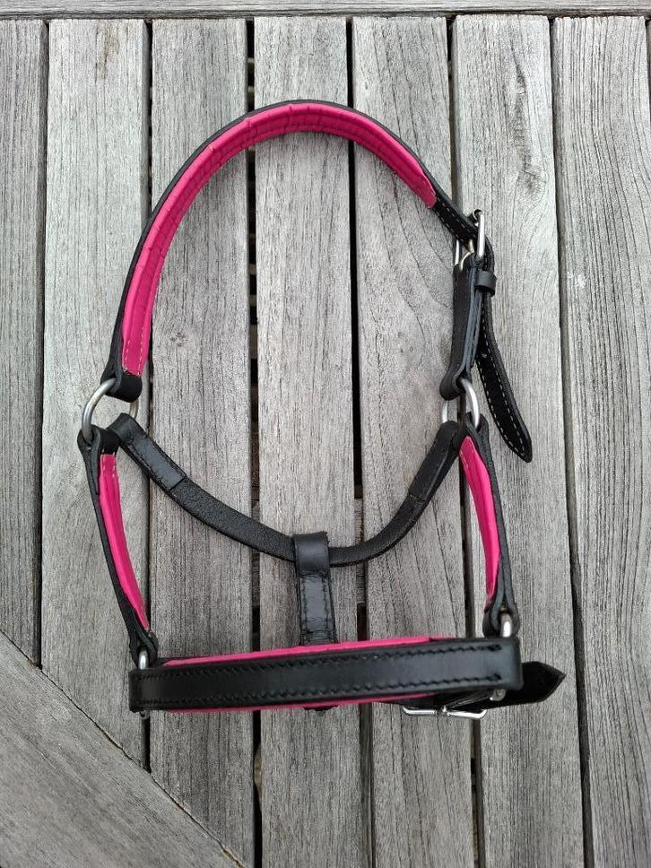 NIEUW: Leren halster minipaardje of klein veulentje, Dieren en Toebehoren, Paarden en Pony's | Hoofdstellen en Tuigage, Nieuw