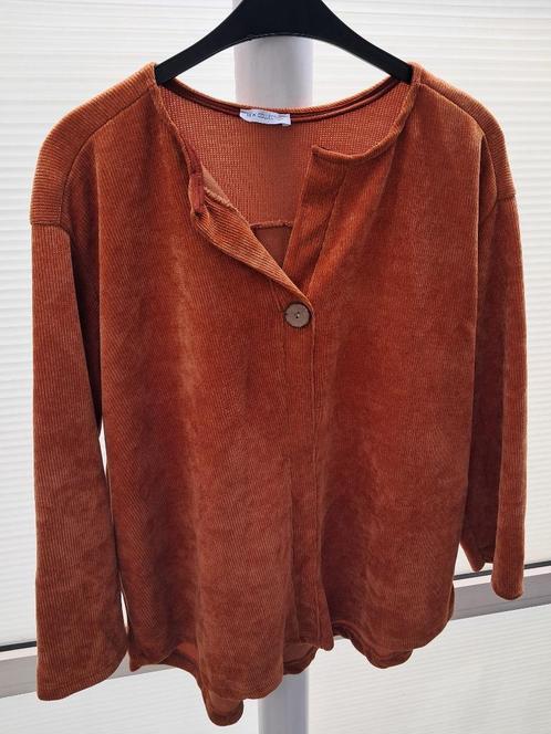 Dames Sweater Roestkleur 1 maat (xl) (NL+31), Kleding | Dames, Truien en Vesten, Zo goed als nieuw, Maat 46/48 (XL) of groter