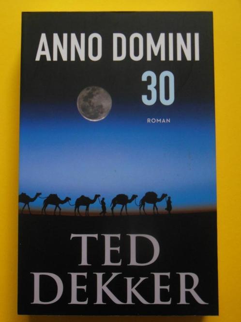 Anno Domini 30 - Ted Dekker, Boeken, Historische romans, Gelezen, Ophalen of Verzenden
