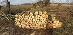 Vers geknot wilgenhout, Blokken, Ophalen, 6 m³ of meer, Overige houtsoorten