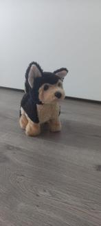 Speelgoedhondje, Ophalen, Gebruikt