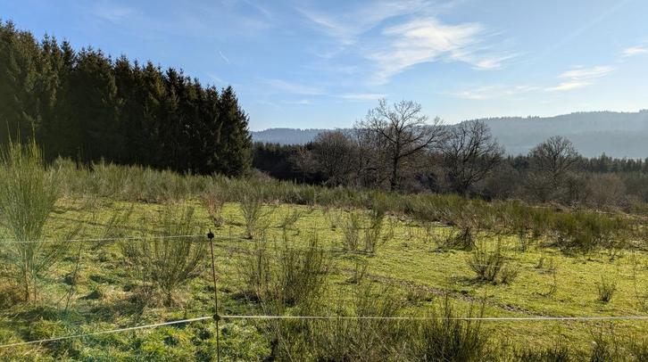 Landbouwgrond Vielsalm, Immo, Gronden en Bouwgronden, 1500 m² of meer